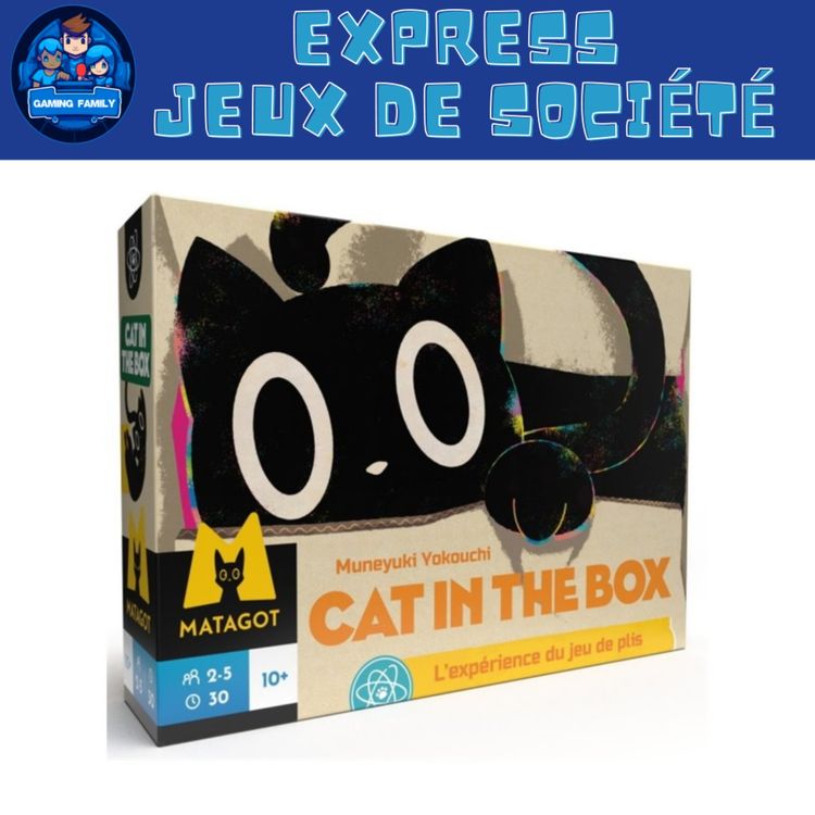 cover art for Test Express : Cat in The Box – Un jeu de plis félinement malin ?