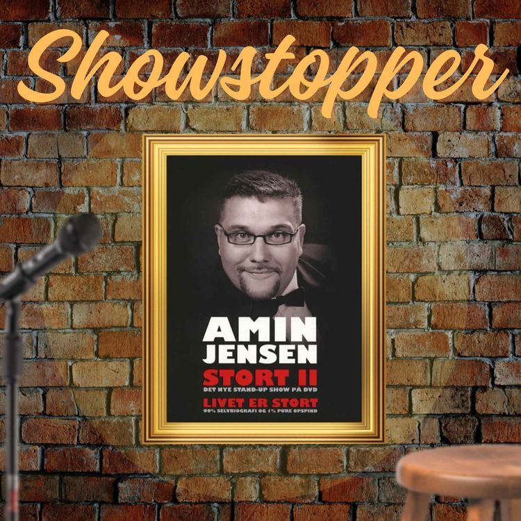 cover art for Stort II - Amin Jensen (2008)