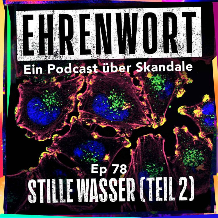 cover art for Stille Wasser (Teil 2)