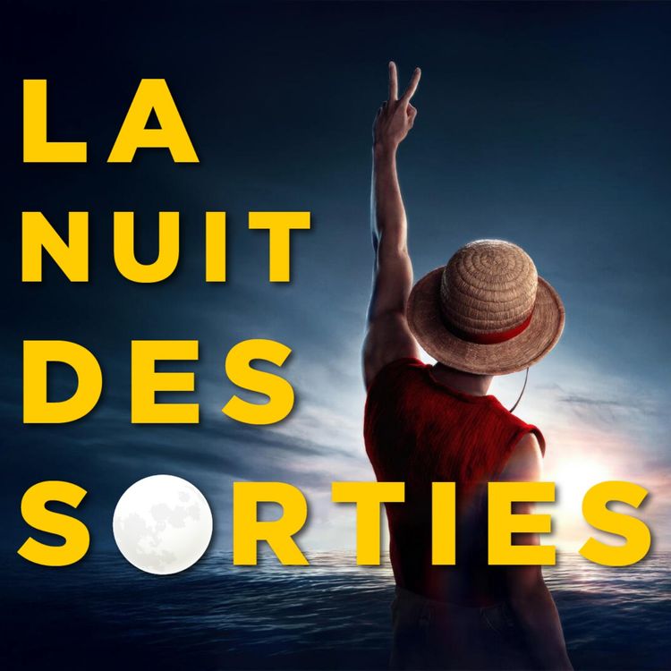 cover art for ONE PIECE (SAISON 2) - UNE BONNE ADAPTATION ? (non)