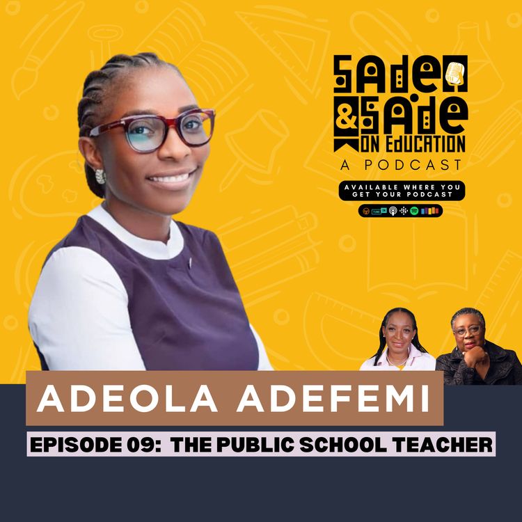 cover art for The Public School Teacher episode