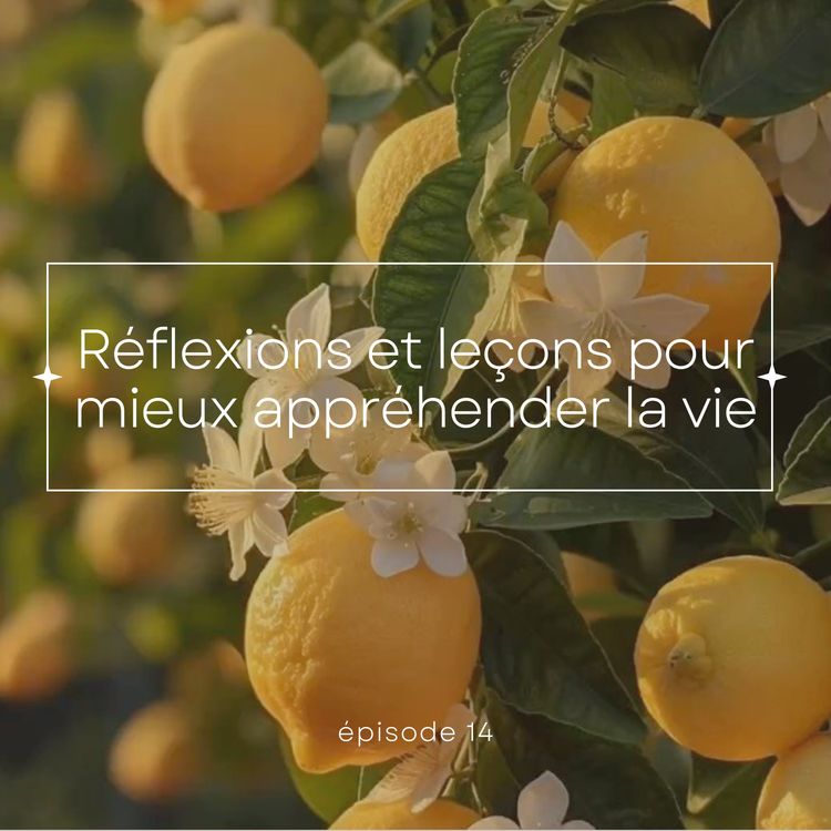 cover art for THE NŪR TALK | Réflexions et leçons pour mieux appréhender la vie