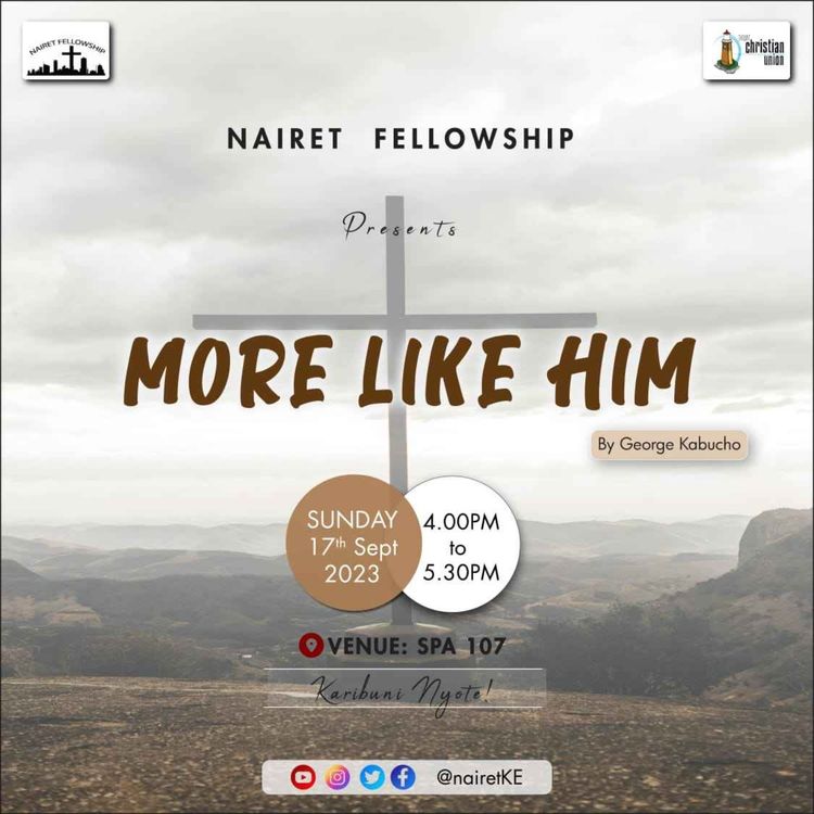 cover art for More Like Him