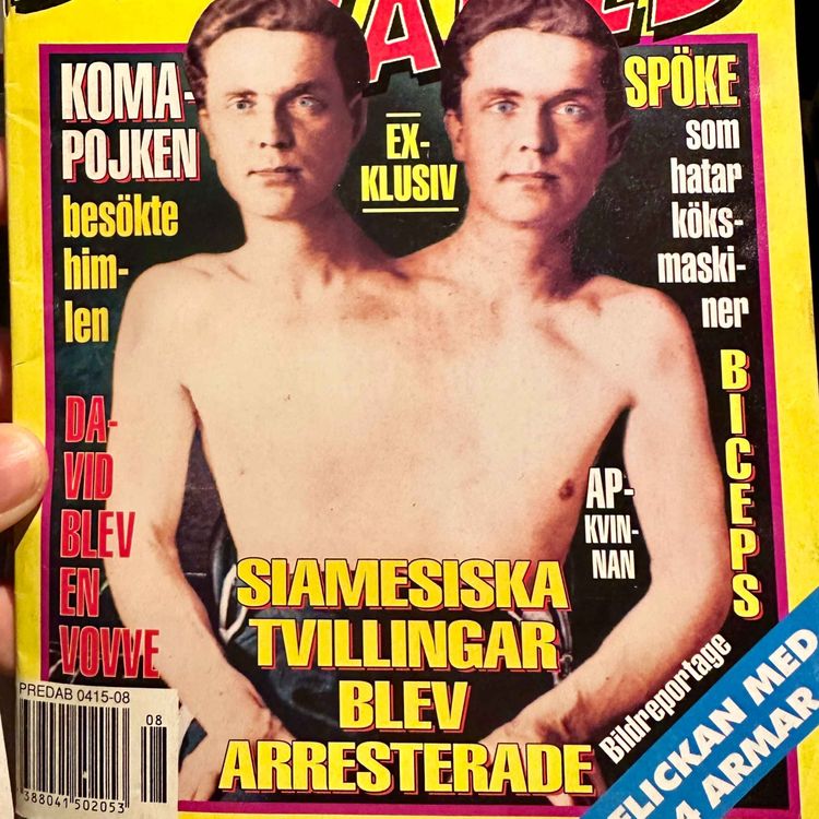 cover art for 7. Bruden släppte sig i kyrkan och dog av skam. Nr 8 1994