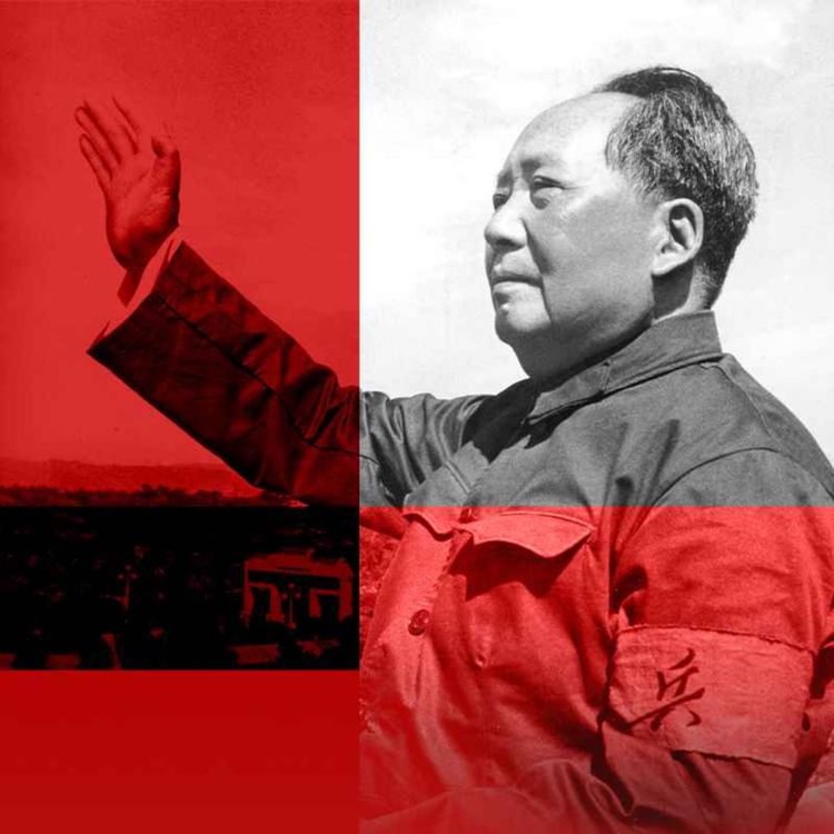 cover art for 毛泽东时代：无止尽的政治运动 中国人近30年浩劫