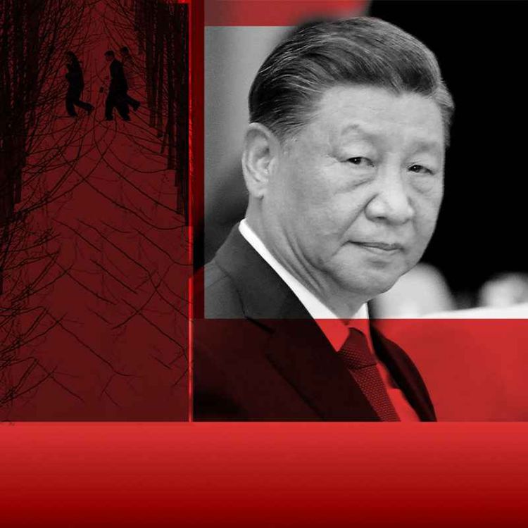 cover art for 习近平时代：润、躺平、无限制的任期