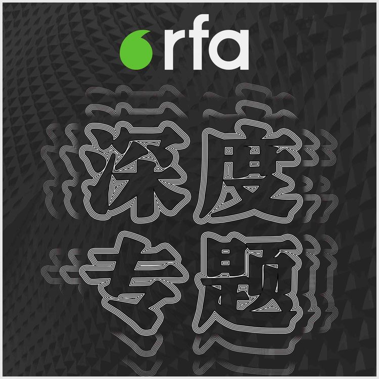 cover art for 习近平时代：与彩虹旗一同消失的中国性少数