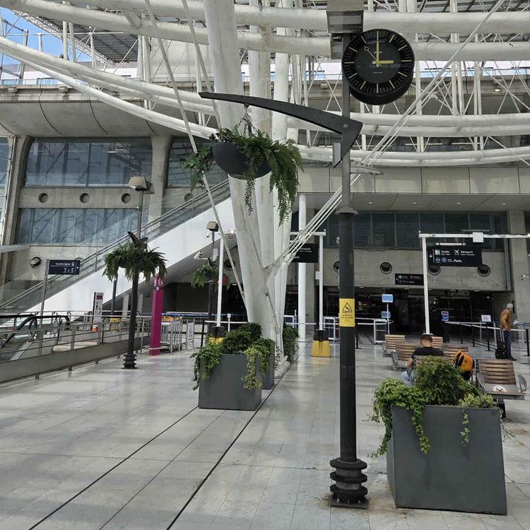 cover art for Do They Eat Vegetables In France? 