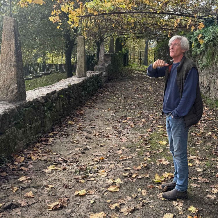 cover art for Is Vinho Verde an Underdog in the Wine World?