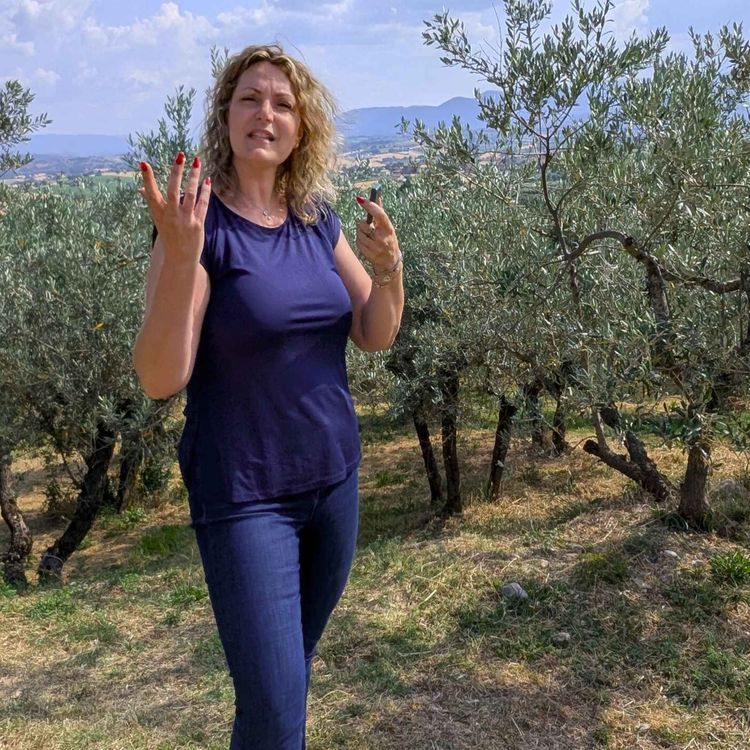 cover art for The New Sagrantino di Montefalco