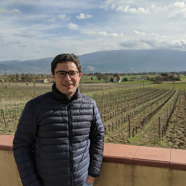 cover art for The Powerful Sagrantino of Bocale  - Episode 332