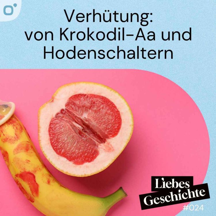 cover art for Episode 24: Verhütung - von Krokodil-Aa und Hodenschaltern