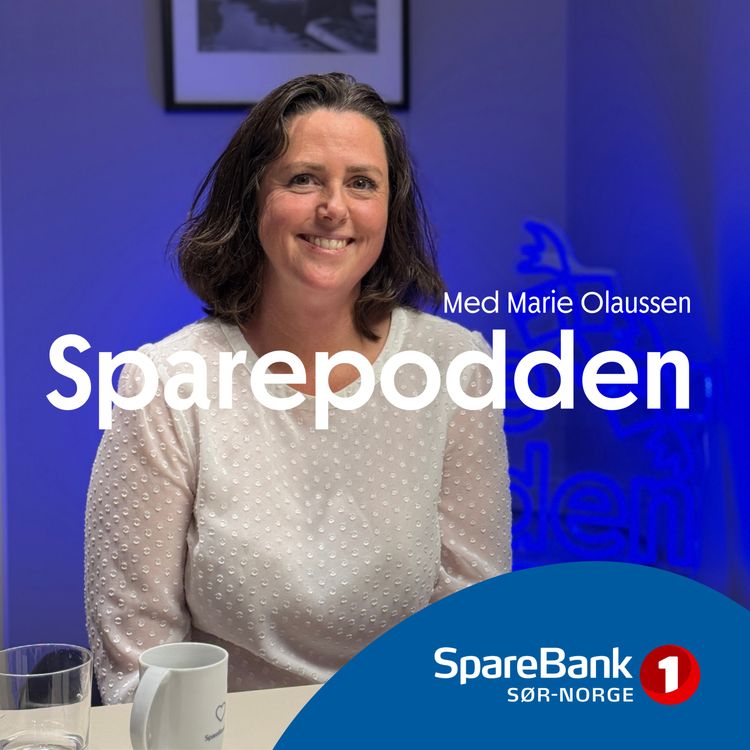 cover art for Hvordan bli rik på et år?