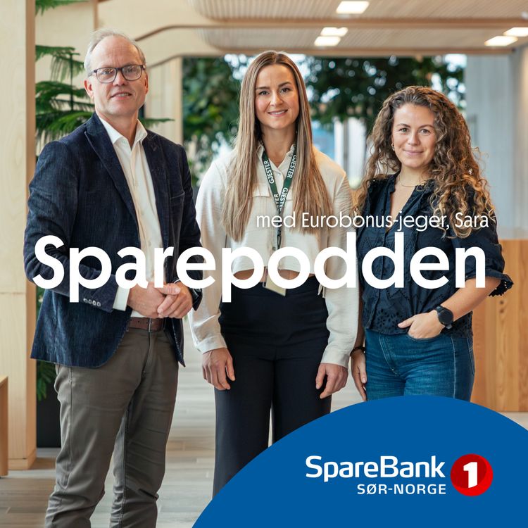 cover art for Hvordan få maks eurobonus?