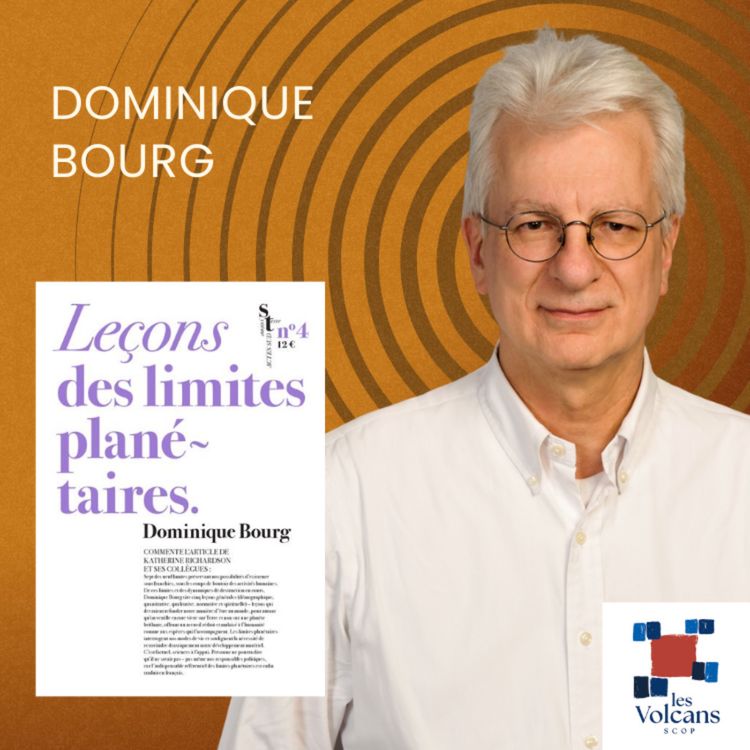 cover art for Dominique Bourg - Leçons des limites planétaires