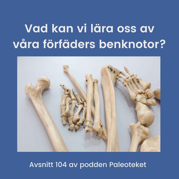 cover art for #104 Vad kan vi lära av våra förfäders benknotor? 