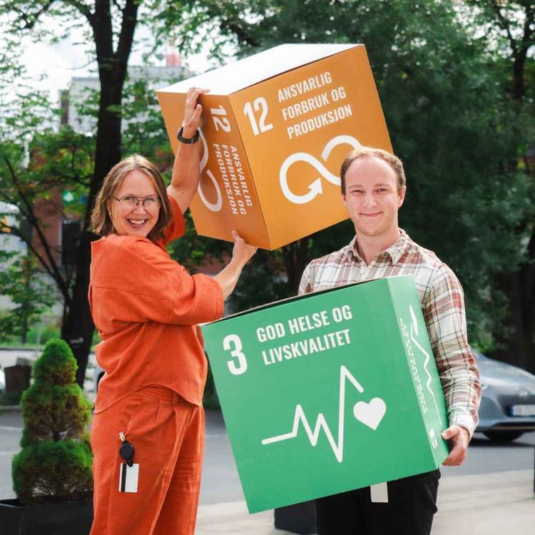 cover art for Miljødeklarasjon av produkter sikrer mer bærekraftig produksjon