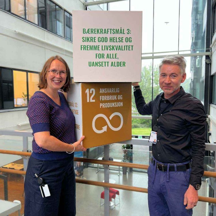 cover art for Testing av plast og komposittmaterialer