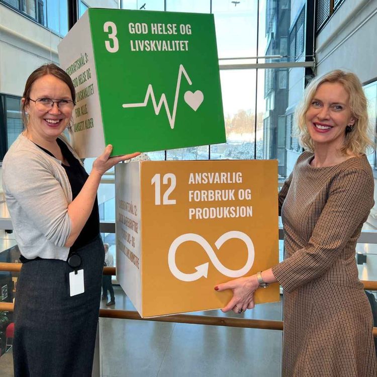 cover art for Miljøfyrtårnsertifisering