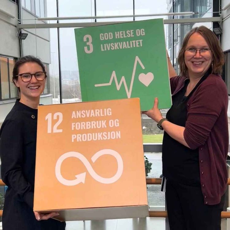 cover art for Sirkulærøkonomi i praksis