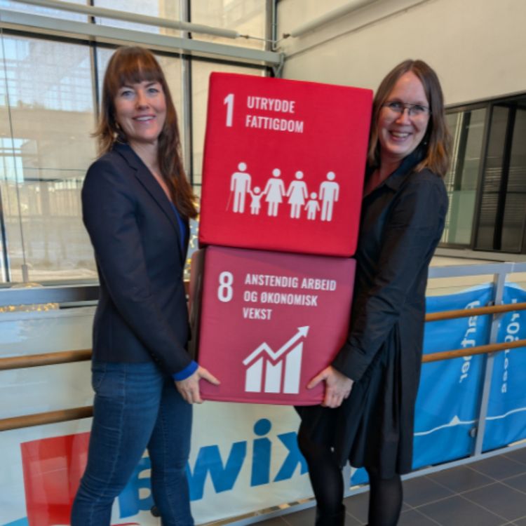 cover art for Aktsomhetsvurderinger som et verktøy i bærekraftsrapportering med Heidi Furustøl daglig leder i Etisk handel Norge