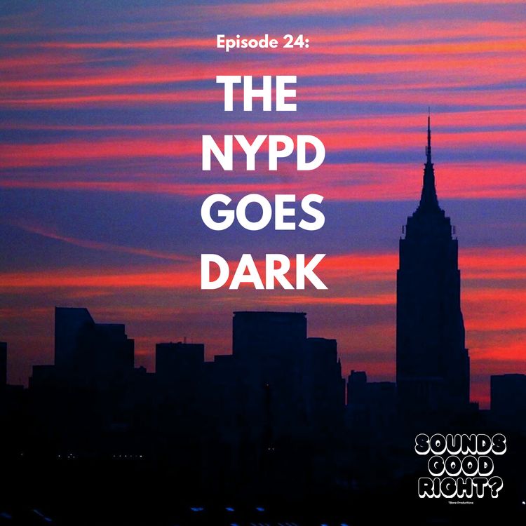 cover art for The NYPD Goes Dark.