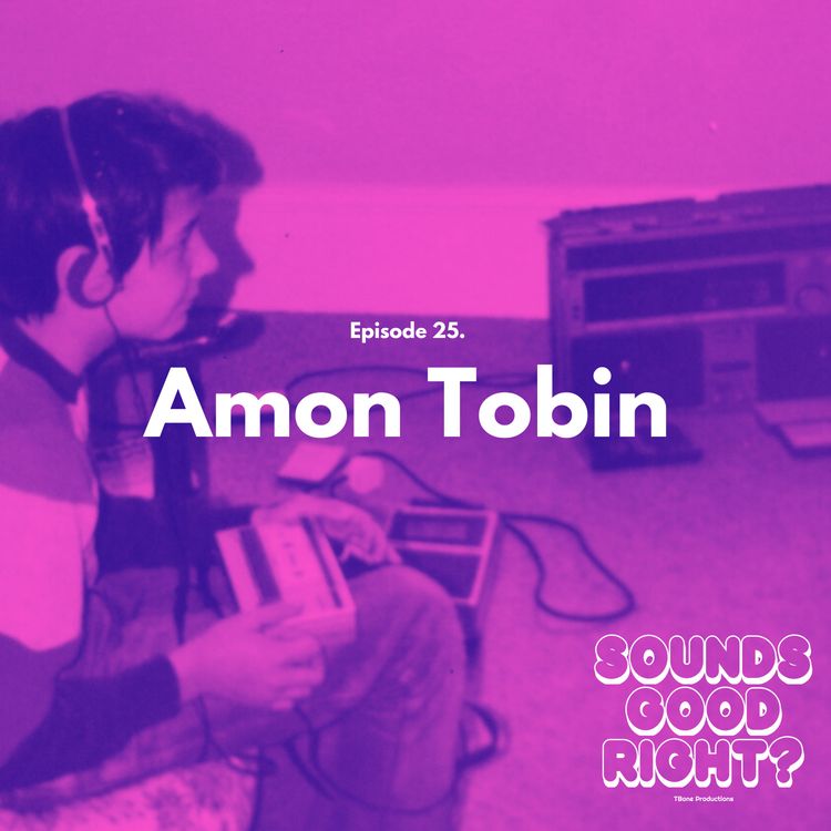 cover art for Amon Tobin