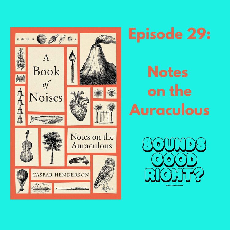 cover art for Notes on the Auraculous