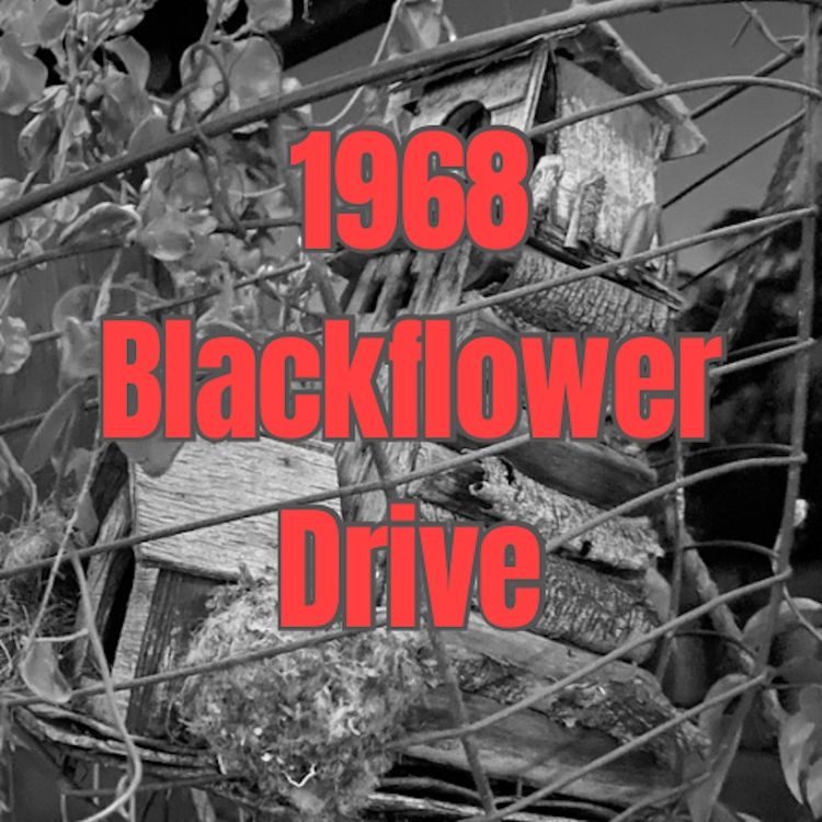 cover art for Trailer: 1968 Blackflower Drive