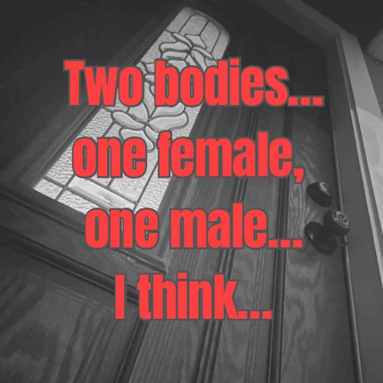 cover art for Two bodies...one female, one male...I think...