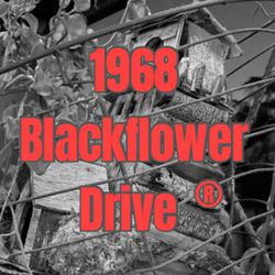 cover art for 1968 Blackflower Drive