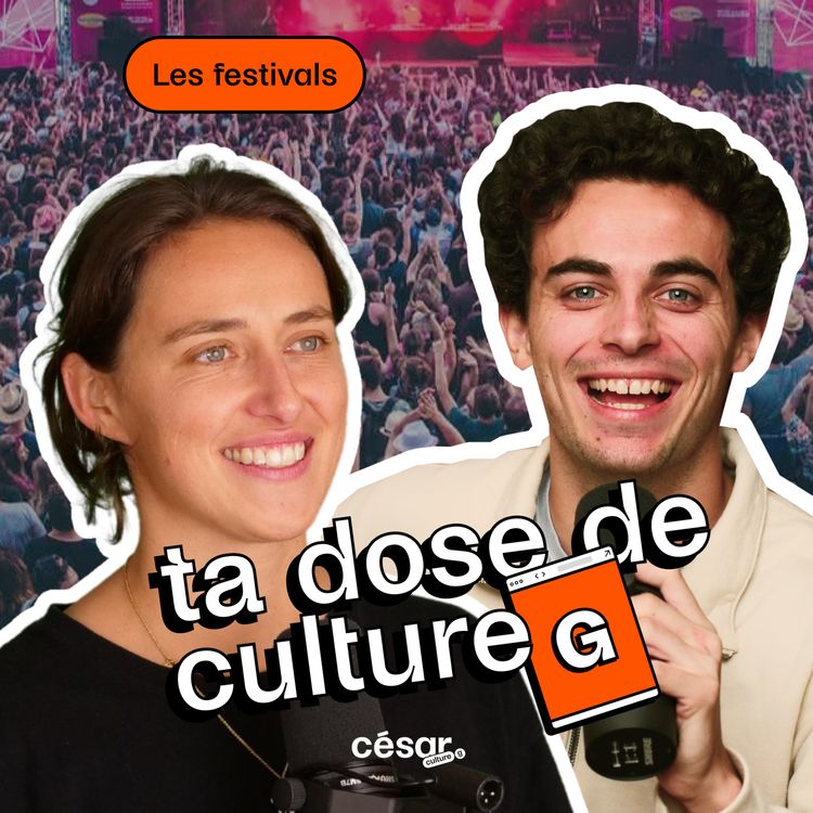 cover art for Festivals ou festivaux ?