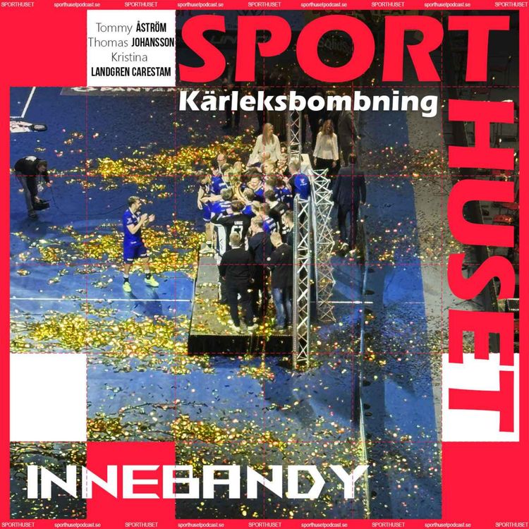 cover art for Innebandy