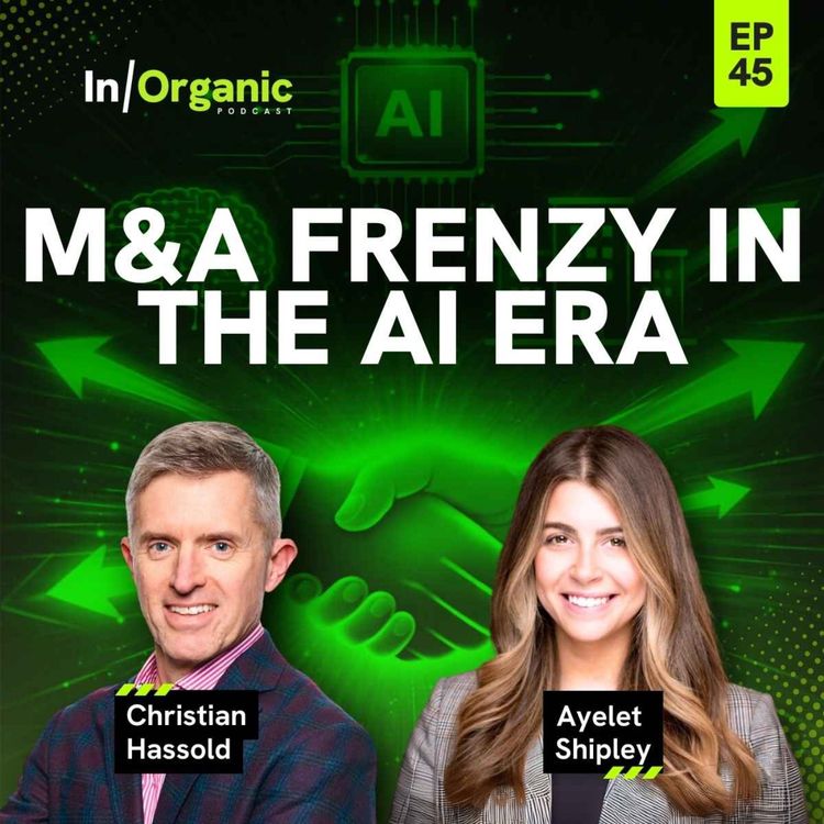cover art for E45: M&A Frenzy in the AI Era