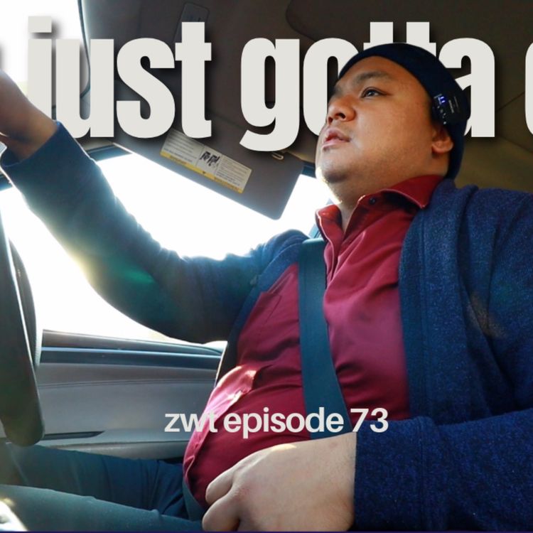 cover art for It's Just the Reality | ZWT Ep.73