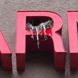 cover art for Drugstore Greetings