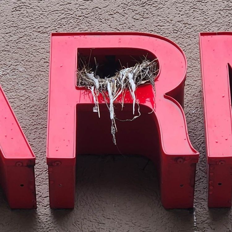 cover art for Episode One