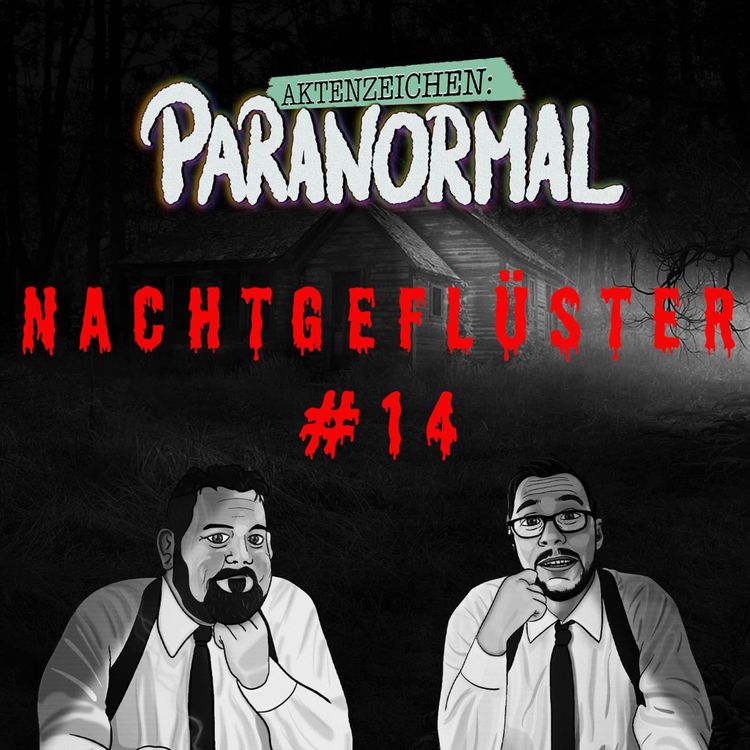 cover art for Nachtgeflüster #14 Hörergeschichten