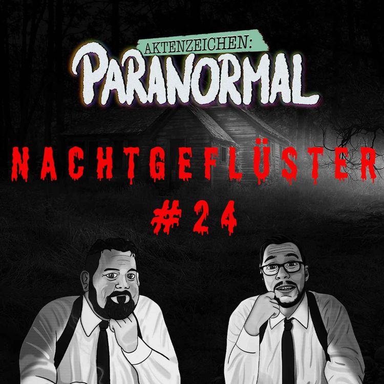cover art for Aktenzeichen Nachtgeflüster #24 Feedback und das Licht von Brieselang 