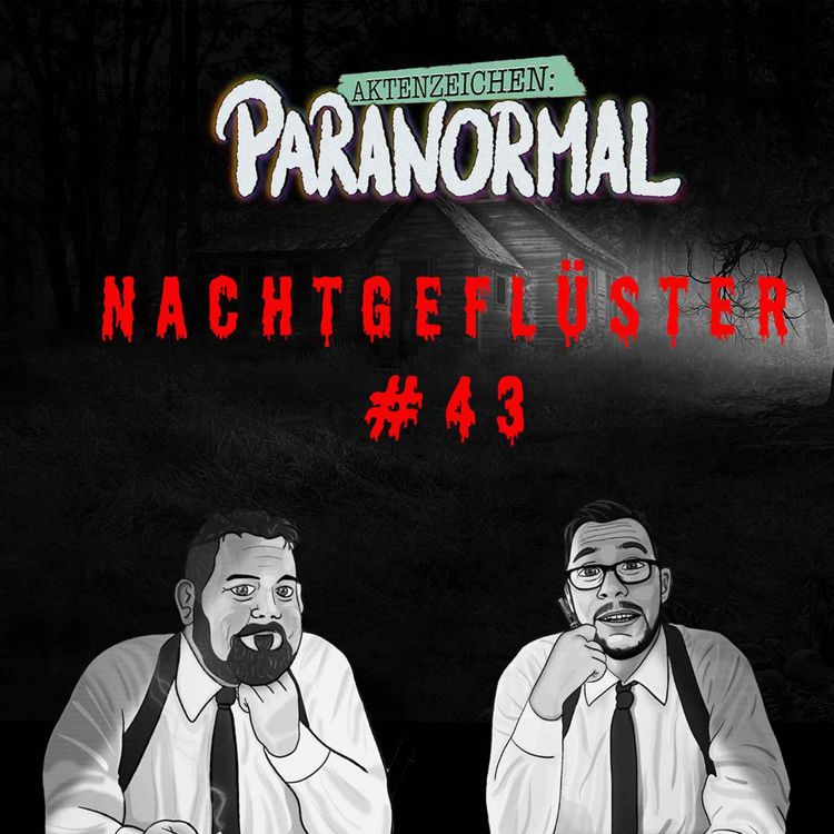 cover art for Aktenzeichen Nachtgeflüster #43: Erlebnisse der Community