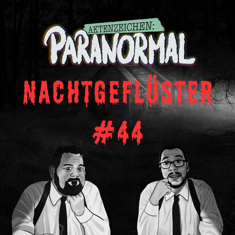 cover art for Aktenzeichen Nachtgeflüster #44: Erlebnisse der Community