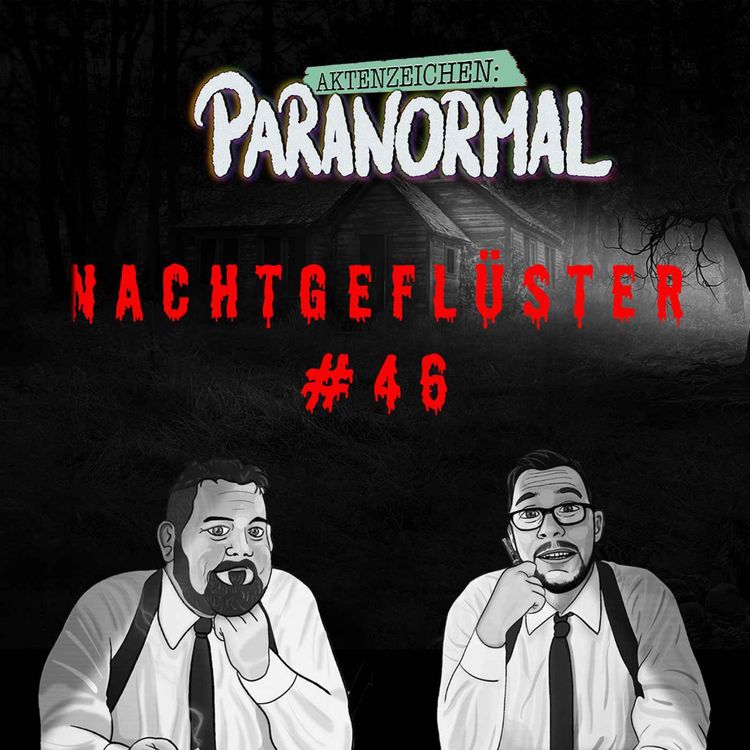 cover art for Aktenzeichen Nachtgeflüster #46: Erlebnisse der Community
