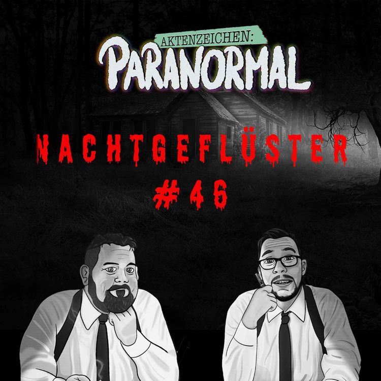 cover art for Aktenzeichen Nachtgeflüster #46: Erlebnisse der Community 