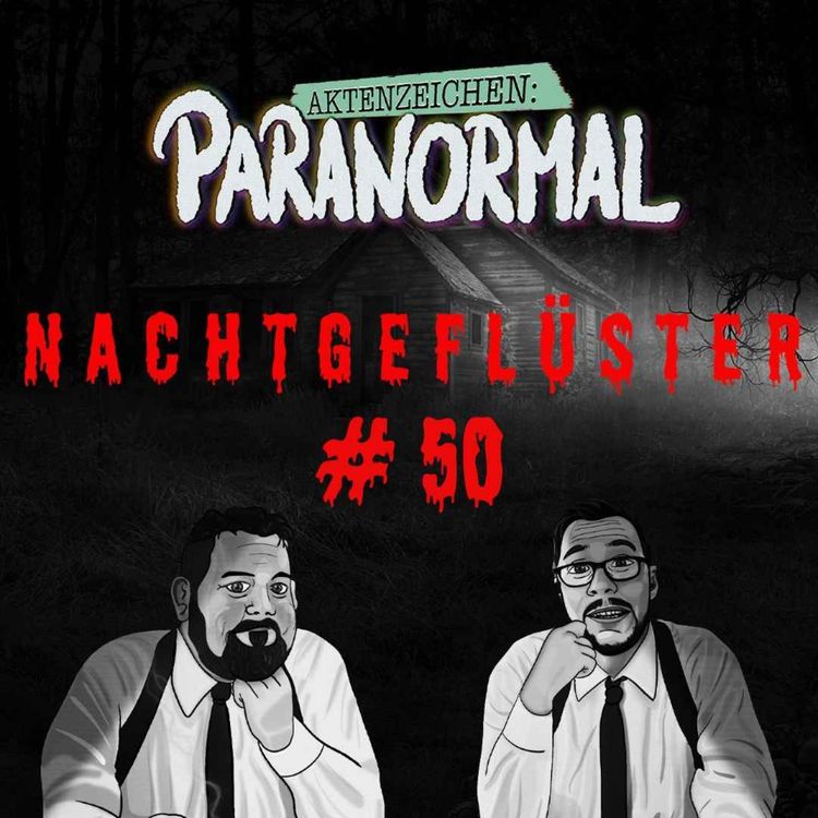 cover art for Aktenzeichen Nachtgeflüster #50: Erlebnisse der Community