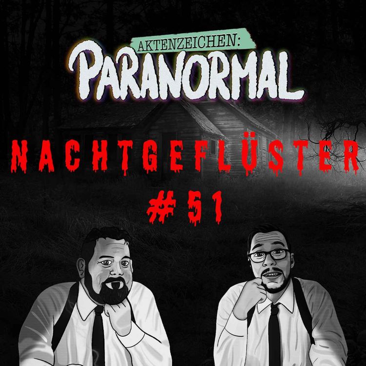 cover art for Aktenzeichen Nachtgeflüster #51 Erlebnisse der Community
