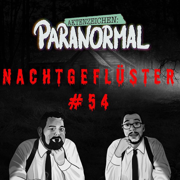 cover art for Aktenzeichen Nachtgeflüster #54: Erlebnisse der Community