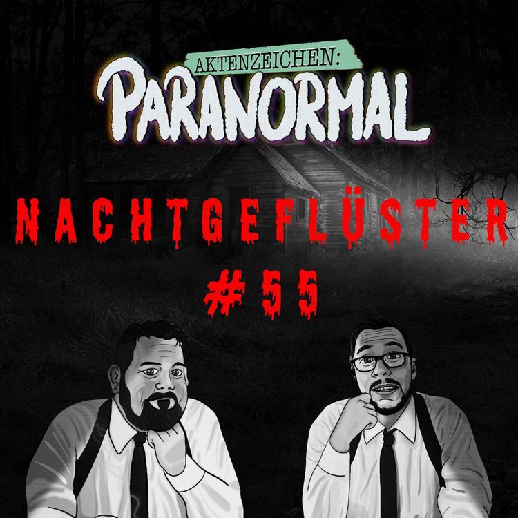 cover art for Aktenzeichen Nachtgeflüster #55: Erlebnisse der Community
