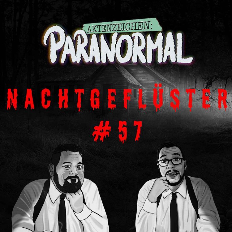 cover art for Aktenzeichen Nachtgeflüster #57: Erlebnisse der Community