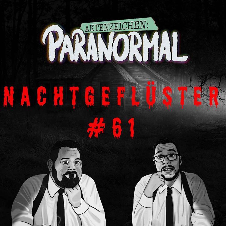 cover art for Aktenzeichen Nachtgeflüster #61: Erlebnisse der Community