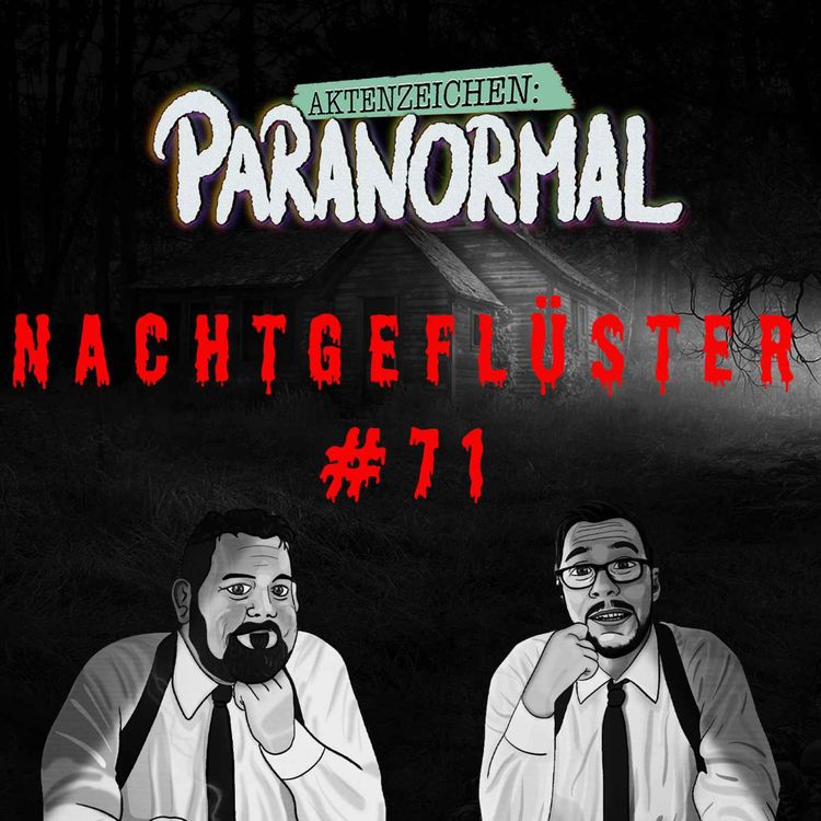 cover art for Aktenzeichen Nachtgeflüster #71: Erlebnisse der Community